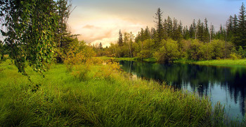 Lakeland Taiga ... / ***