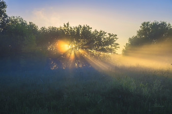 Morgendämmerung / ***