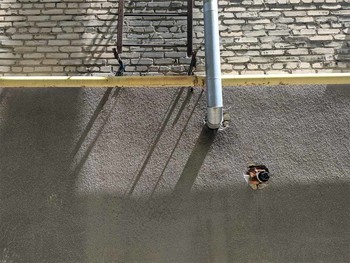 &nbsp; / ***