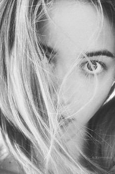 Alexander Krivitskiy / ***