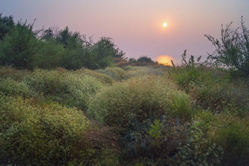 Sommer-Skizzen / ***