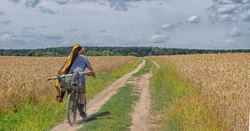 der Weg nach Hause / ***