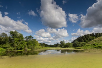 Sommerstimmung / ***