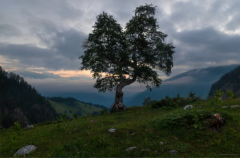Morgen einsam / ***