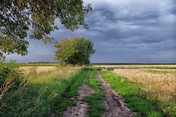 Die Straße im Sommer / ***