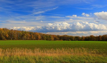 Herbst / ***