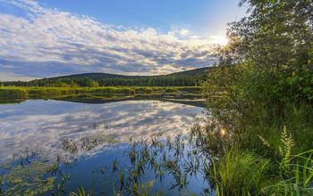 Sommerlandschaft / ***