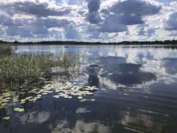 Auf dem See / ***