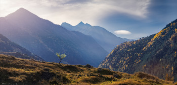 Hören auf die Stille ... / ***