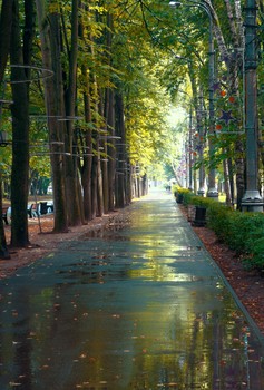 Allee / ***