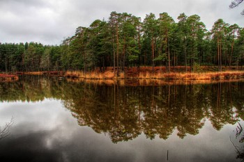 Spiegelung / ***