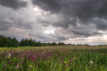 Vor dem Sturm / ***