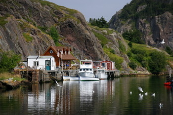 Quidi Vidi / fisher huts in Quidi Vidi village, Newfoundland, Canada