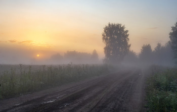 Morgennebel / ***