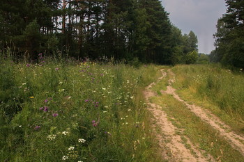 Landstraße / ***