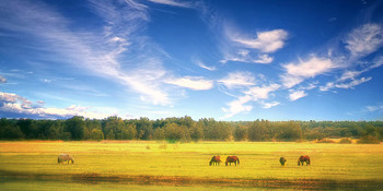 Unter dem blauen Himmel ... / ***