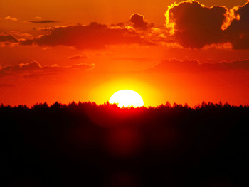 Sonnenuntergang über dem Wald / ***