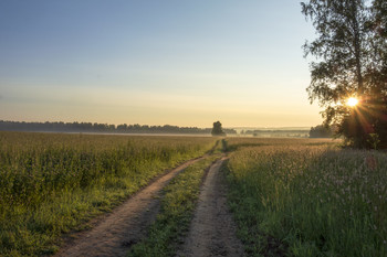 Julimorgen / ***