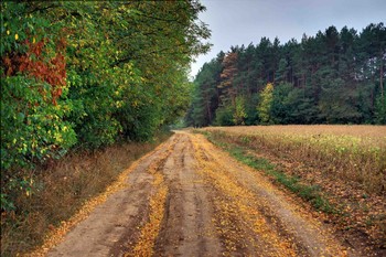 Bald Herbst ... / ***