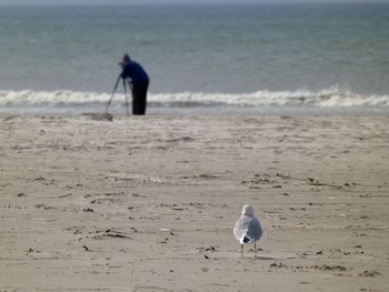 der Fotograf und die Möwe / Dänemark im September, viel Strand und wenig Menschen ...
und manchmal ein Fotograf