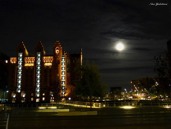 Speicherstadt Hamburg / ***