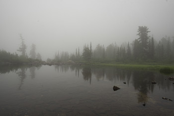 Nebliger Morgen / ***