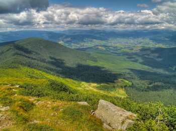 &nbsp; / [img]https://i.imgur.com/h6WgBZ2.jpg[/img]
[img]https://i.imgur.com/3Ht8PHB.jpg[/img]
[img]https://i.imgur.com/2HEiePb.jpg[/img]
[img]https://i.imgur.com/aApI9QG.jpg[/img]
[img]https://i.imgur.com/DYpBEpI.jpg[/img]
