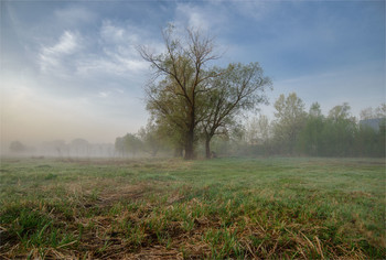 Morgendämmerung / ***