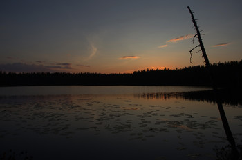 Sonnenuntergang auf dem See. / ***