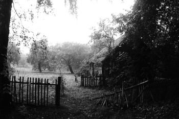 Die Kabinenfenster zum Garten ... / ***