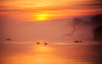 Sonnenuntergang / ***