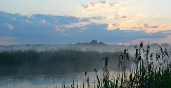 Misty Morgengrauen bewölkt / ***