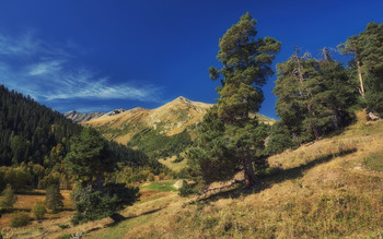 Höher als die Berge ... / ***