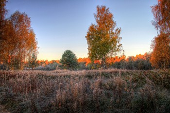 Goldener Herbst / ***