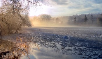 Der Frühling kommt ... / ***