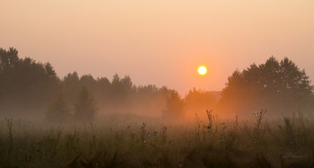 Sommermorgen. / ***