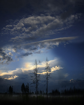 Morgendämmerung / ***