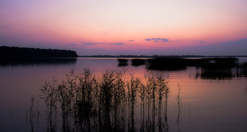 Sonnenuntergang auf dem See. / ***