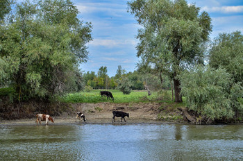 Am Fluss / ***
