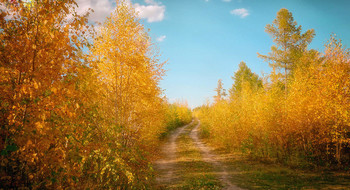 Autumn road ... / ***