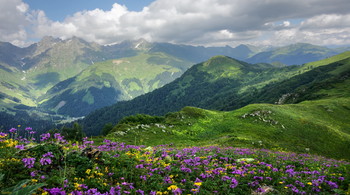 Sommer in den Bergen / ***