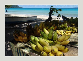 &nbsp; / music: Bonobo - Don't Wait
https://www.youtube.com/watch?v=DQfQ8VF1WKM