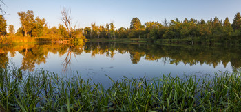 Abend auf dem See / ***