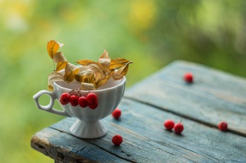 Zeichen des Herbstes / ***