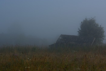 Foggy Morning ... / ***