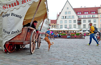alte Freunde / ......................................