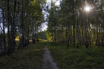 sonnig / ***