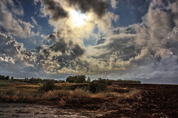 Nach dem Regen / ***