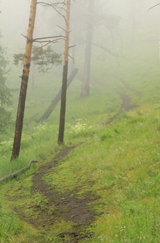 irgendwo in den Bergen / ***