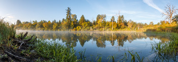 Morgen auf dem See / ***